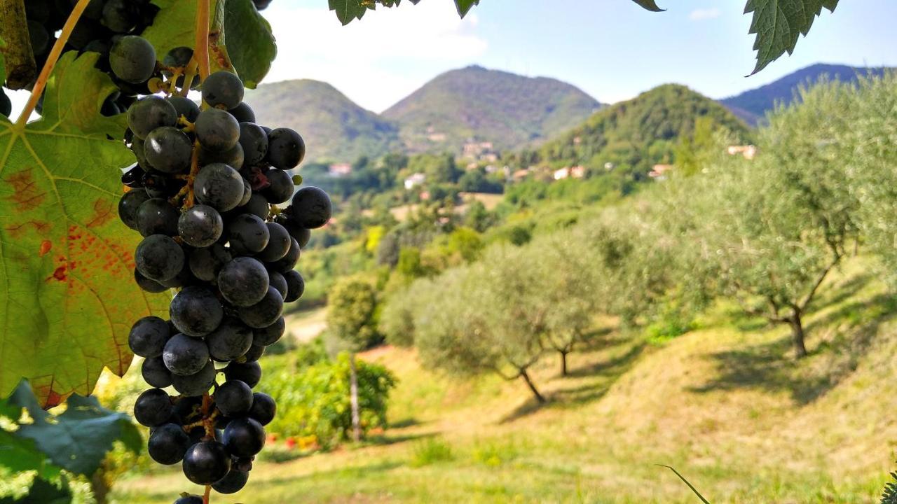 Colle Del Barbarossa Villa Teolo Eksteriør billede