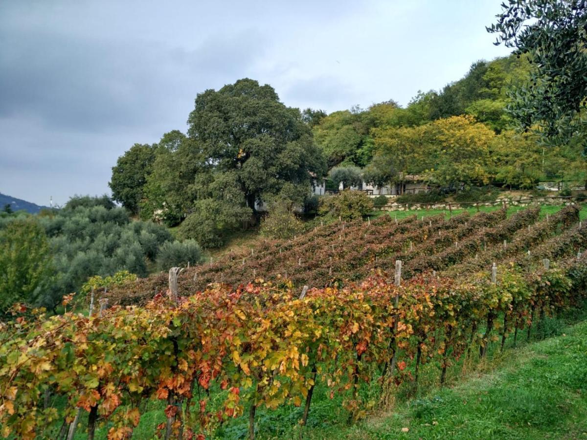 Colle Del Barbarossa Villa Teolo Eksteriør billede