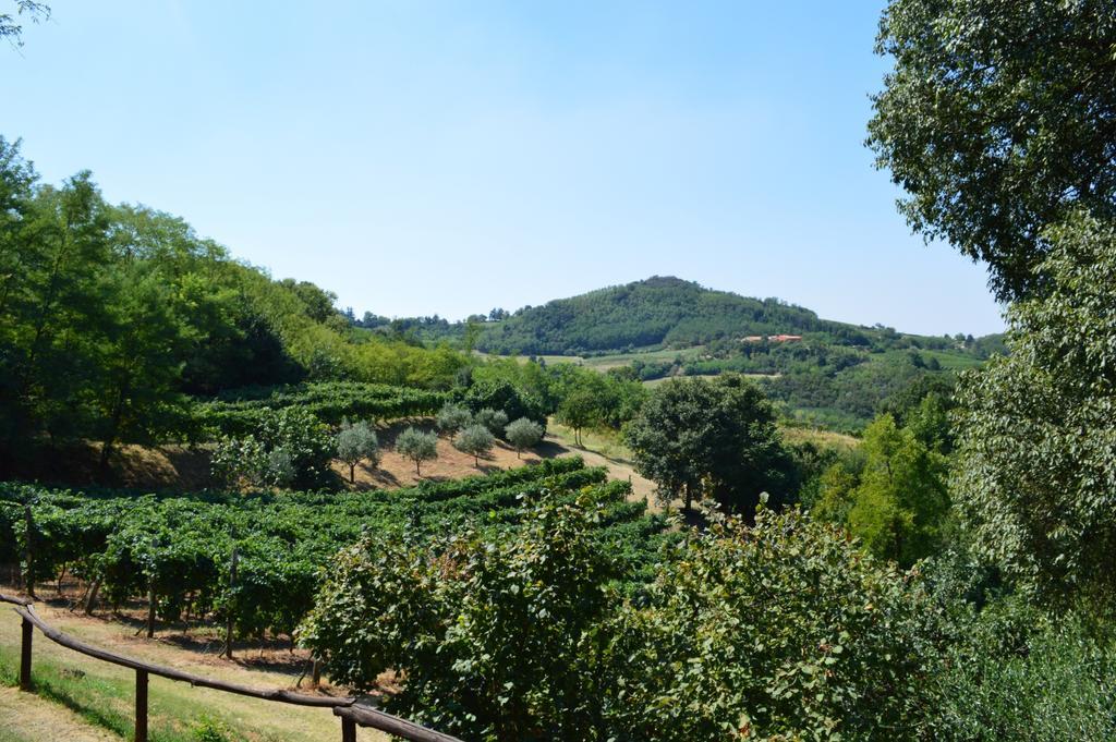Colle Del Barbarossa Villa Teolo Eksteriør billede